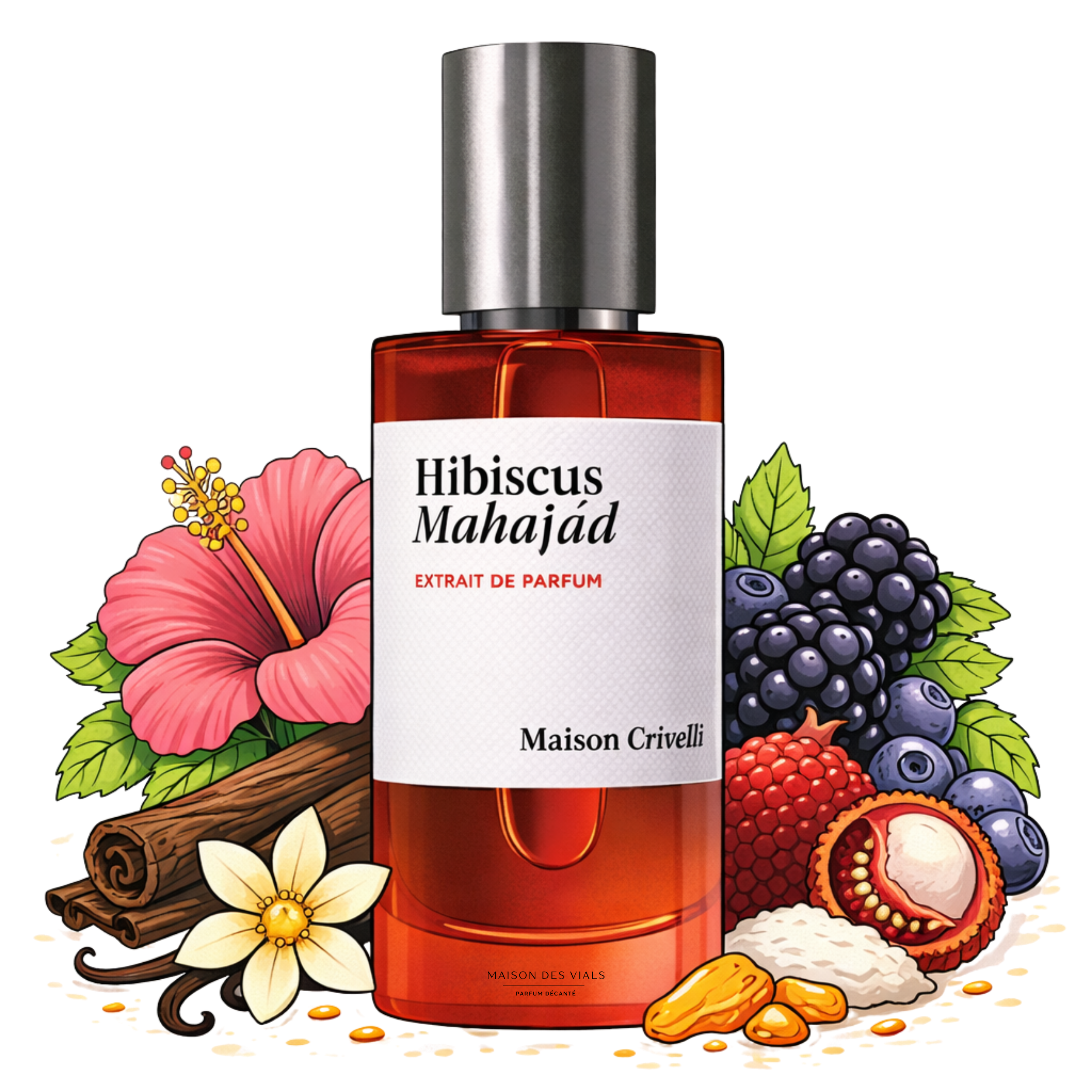 Hibiscus Mahajad – MAISON DES VIALS