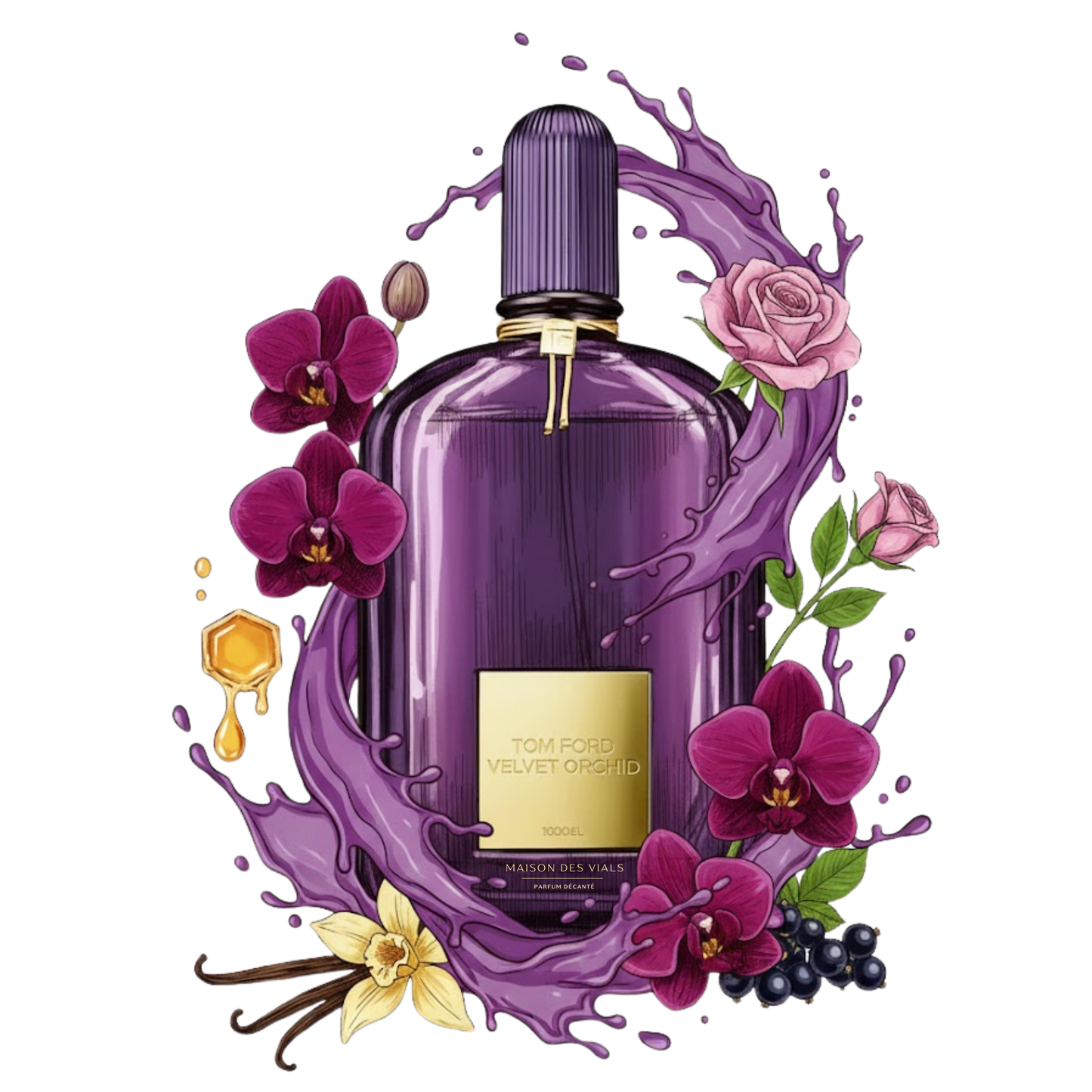 Velvet Orchid